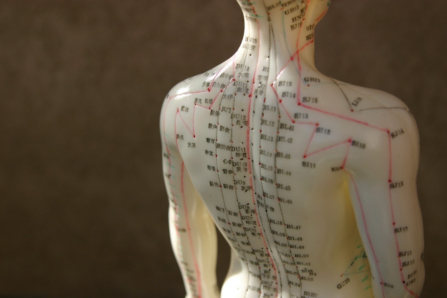 Explaining Acupuncture in Family Medicine Patients’ and Physicians