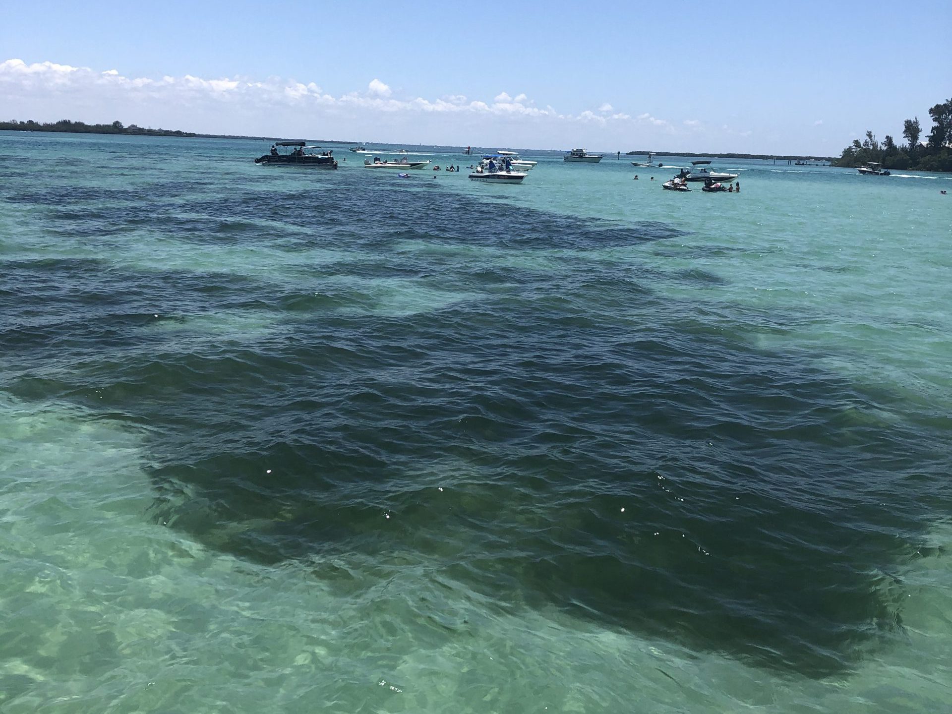 Forever in Florida<br/><span style="font-family:gentonabook;">Environmental Journalism class series published on WUFT News investigating so-called “Forever Chemicals” in Florida’s freshwaters.</span>