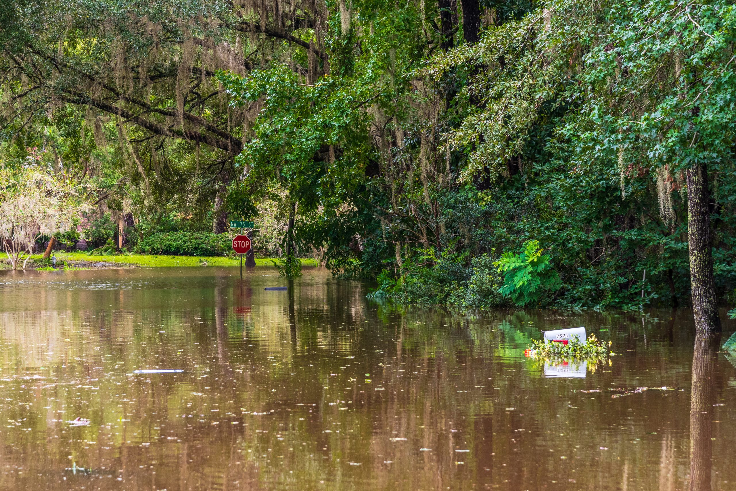 Cynthia Barnett Comments on How to Cultivate Community Support for Confronting Climate Change